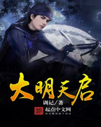 大明天启官窑瓷器